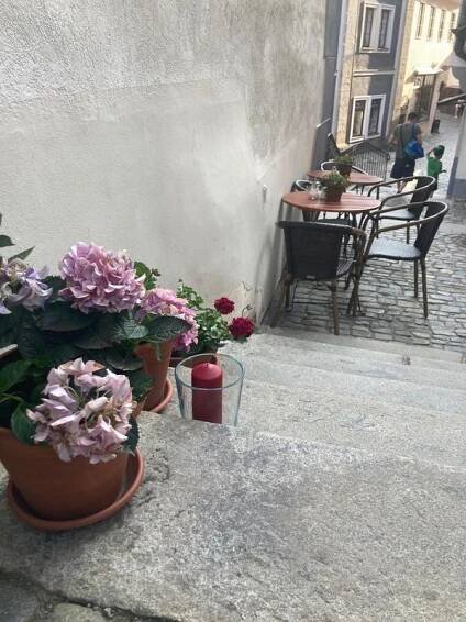 Švejk Restaurant foto 2