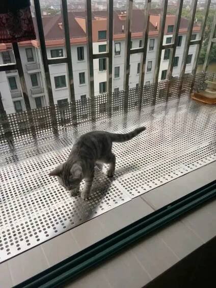 Hailea 304 Nerezová ocelová bezpečnostní síť do oken - Protizlodějská mříž na balkon