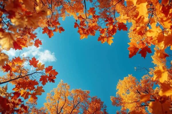 Fall Background Autumn Nature Free Photo