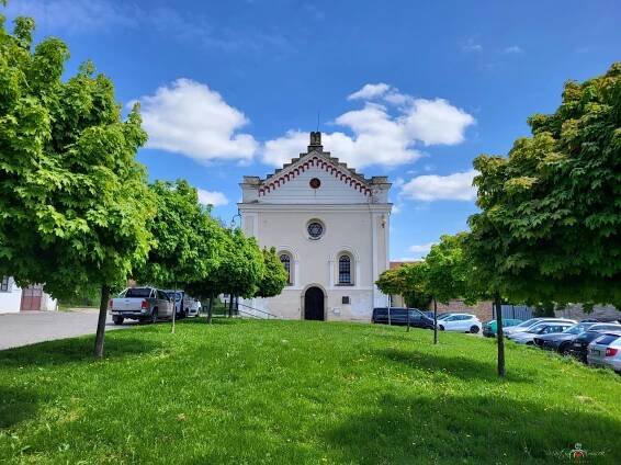 Fotografie - Synagoga Slavkov u Brna - 09.05.2023