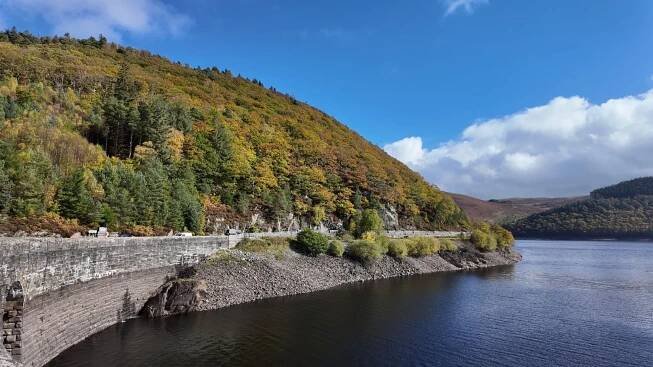 A lake surronded by a forestry.