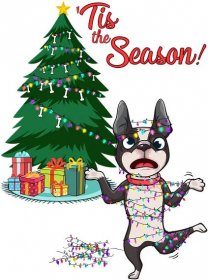 Christmas Tis The Season - Funny Bonz