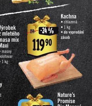 Albert Kachna nabídka