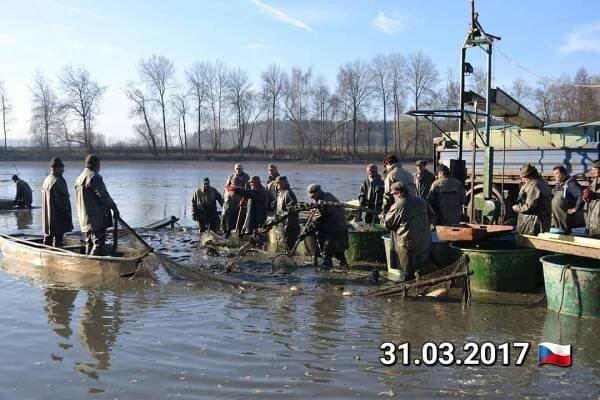 Výlov 2017 – Rybník Březí