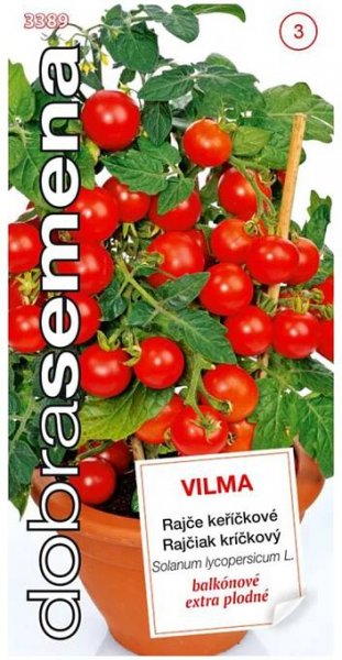 Semena - RAJČE KEŘÍČKOVÉ 'VILMA'