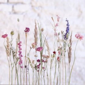Sušené květiny - Kytky od potoka