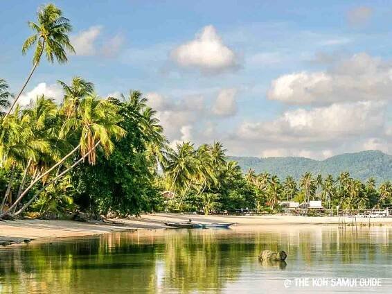 Koh Samui in May: Weather, What to Expect and FAQs