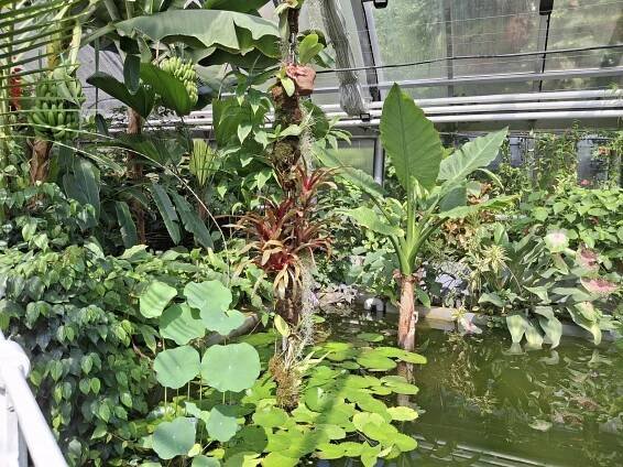 Návštěva botanické zahrady – Střední zdravotnická škola Brno, Jaselská, příspěvková organizace
