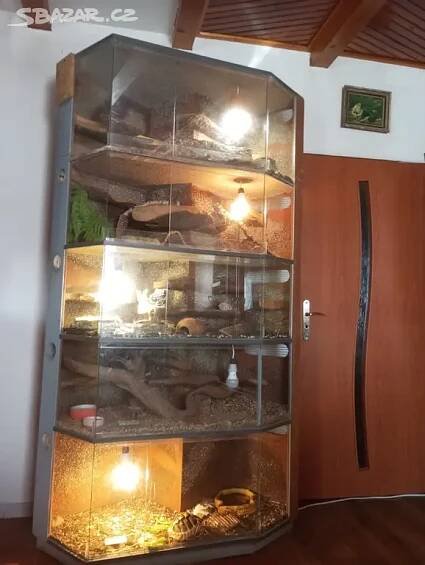 Terárium profi - Kraslice (Sokolov), Prodám