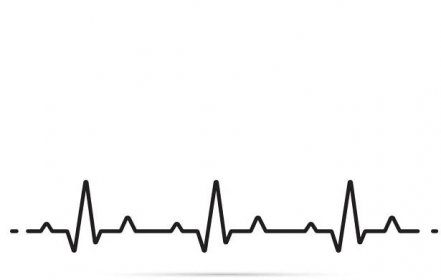 The Do-It-Yourself Electrocardiogram (ECG)