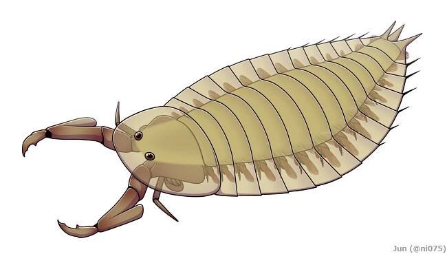Parioscorpio