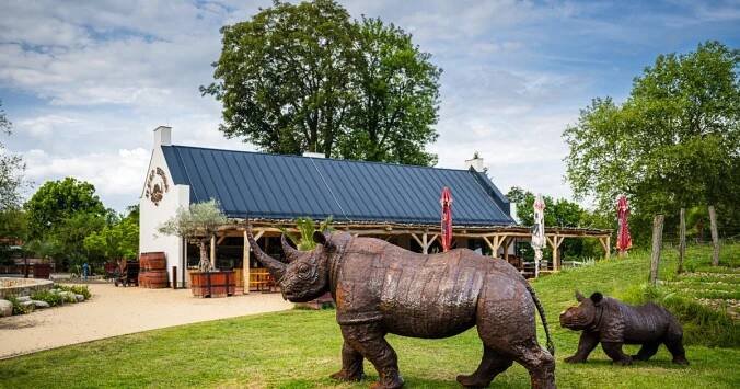 Afriku všemi smysly zažijete uprostřed východních Čech v unikátním Safari Parku Dvůr Králové