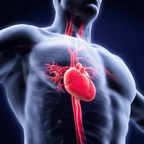 Přílišná mozková aktivita může způsobit infarkt. Pozor na stres, radí studie
