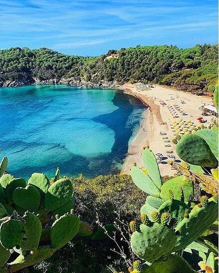 Beach of Fetovaia, Itálie - Průvodce po plážích, informace, fotografie - BeachAtlas