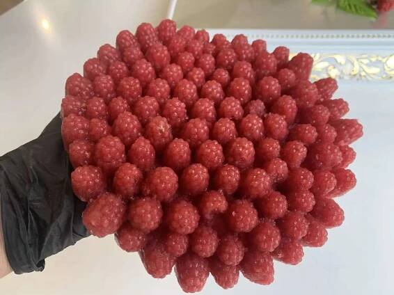 Raspberry Blackberry - Obrázek 6