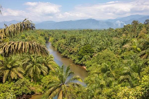 Sumatra - nespútaná Indonézia