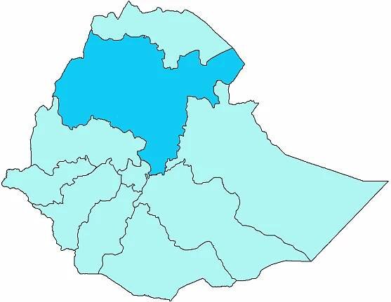 Archieparchie Addis Abeba