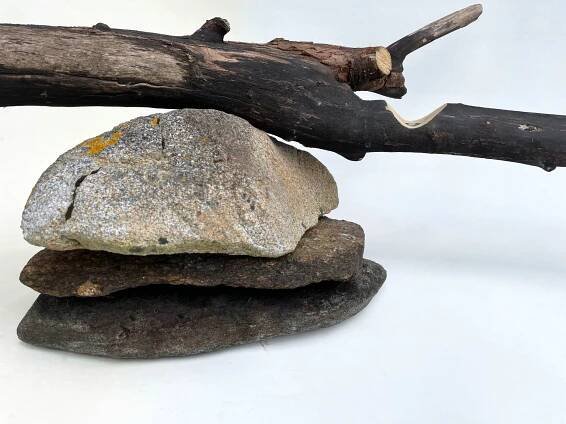 Straight-from-the-tree-05-stones-and-level