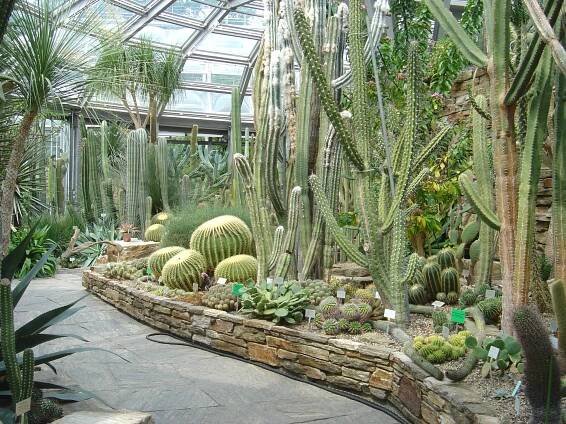 Soubor:Botanical Garden Berlin - Cacti House.jpg – Wikipedie