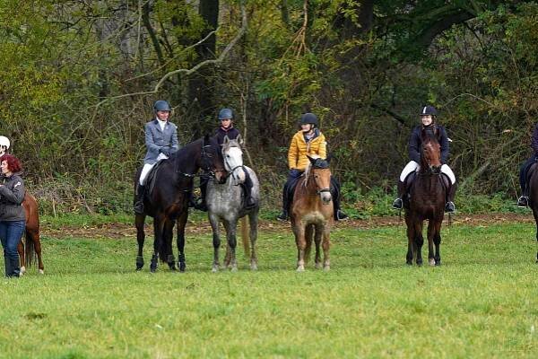 Horse Activity foto 1