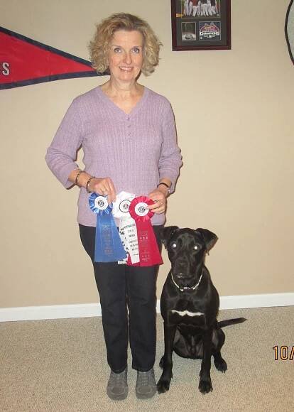 Training - WestInn Kennels | Missouri