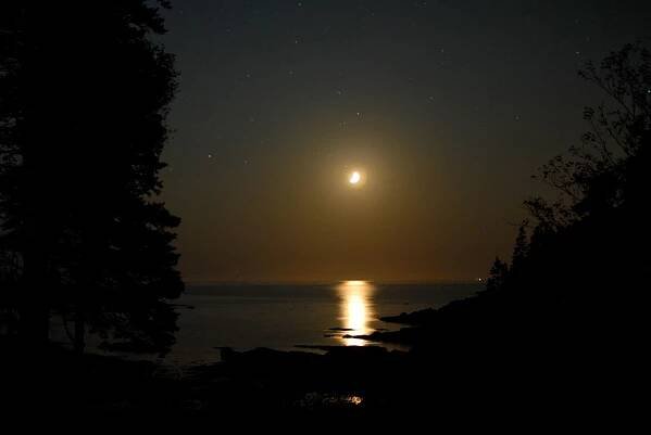 A crescent moon shines over calm water, casting a bright reflection, with trees framing the night sky.