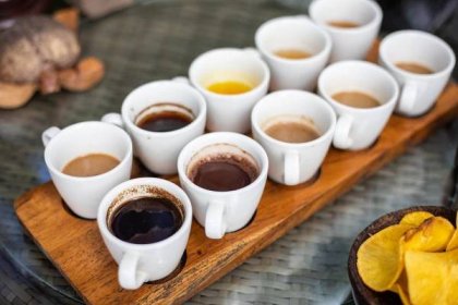 Testování kávy a čaje Luwak na Bali