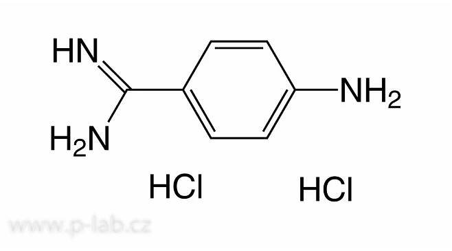 p-AMINOBENZAMIDIN DIHYDROCHLORID | P-LAB