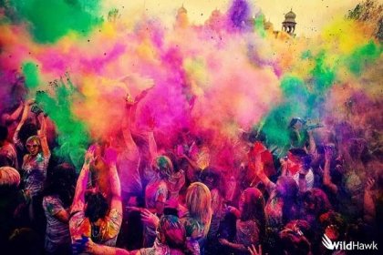 1 Night & 2 Day Holi Party Package at Rishikesh For Couples & Family