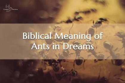 The Biblical Meaning of Ants in Dreams