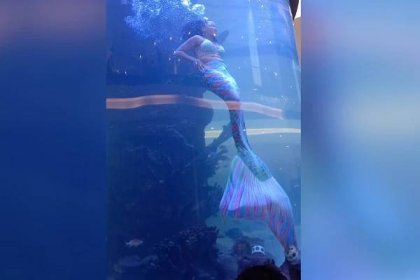 Scary moment mermaid's tail gets caught on reef