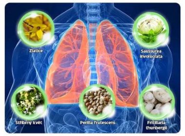 RespiNature™ | Přírodní řešení pro zdravé plíce (1+1 ZDARMA) 