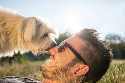 Pes a jeho majitel - super pes a mladý muž baví v parku - pojmy přátelství, domácí zvířata, pospolitosti — Stock obrázek