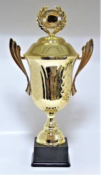Poháry, medaile, trofeje aj. Tradice od r.1997.