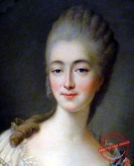 Madame du Barry. François Hubert Drouais. Rococo fashion. Mistress Louis XV.