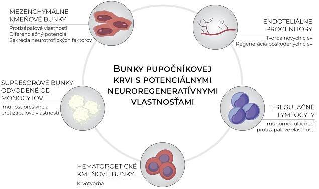 Využitie pupočníkovej krvi v detskej neurológii - Cord Blood Center