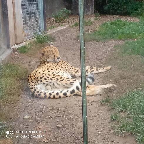 Žáci primy v ZOO – Zemědělská akademie a Gymnázium Hořice