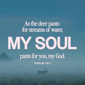 Psalm 42:1 As a deer pants for flowing streams, so pants my soul for you, O God.