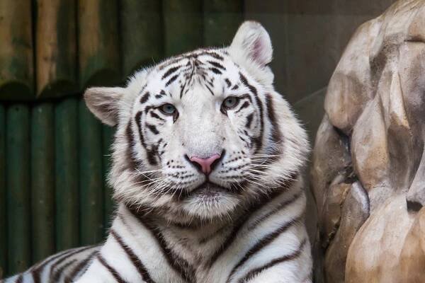 Zoologická a botanická zahrada Liberec | Slevomat.cz