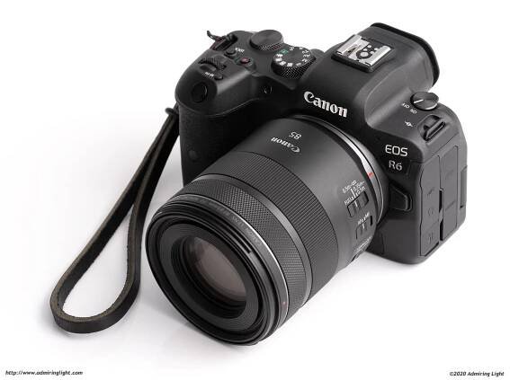 Review: Canon RF 85mm f/2 Macro IS STM