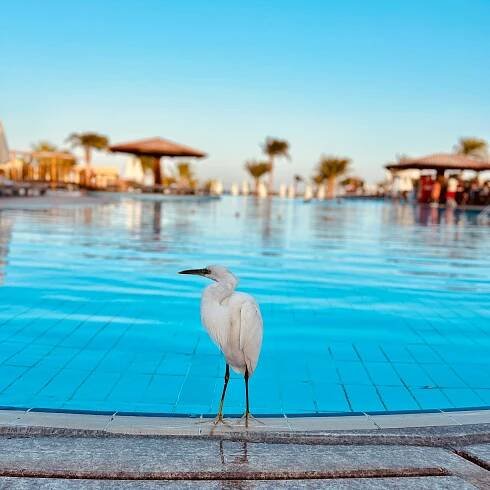 THREE CORNERS FAYROUZ PLAZA BEACH RESORT - Updated 2025 Prices & Reviews (Port Ghalib, Egypt)