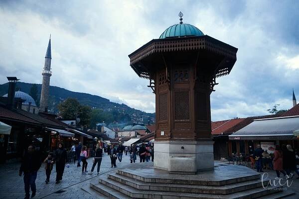 ls_bosna_U3A2898_web