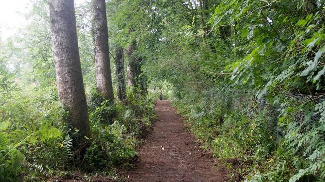 Showing the new nature trail at Dolwen Field, Llanwrtyd Wells