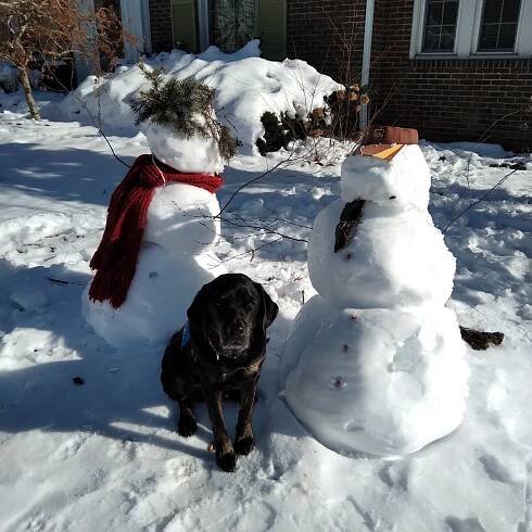 snow dog Archives - Christy Hoss | Christy Hoss