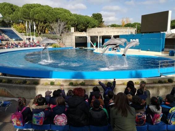 Visita al Zoo de Madrid (5 años)