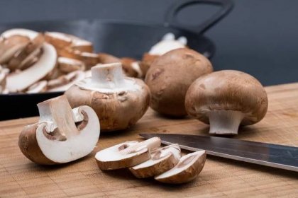 Jak nejlépe skladovat houby, aby vydržely co nejdéle čerstvé? - BydlímeChytře.cz