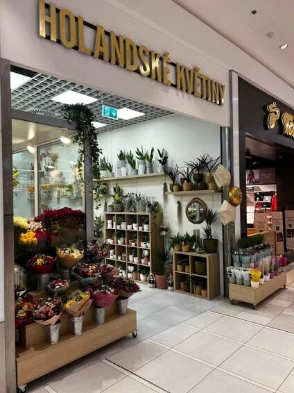 Holandské květiny | Central Kladno - Máme vše pro celou rodinu
