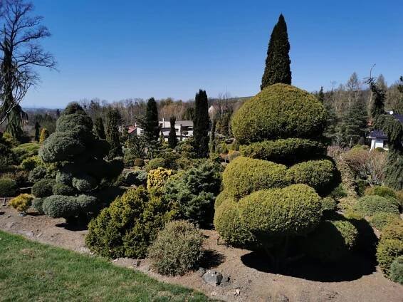 Čtenáři výletují: V Miniarboretum U Holubů vás ohromí nejen čarodějné metly