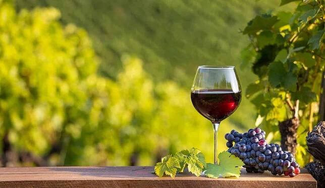 Argentina Wine Guide: What is Malbec Wine? A Unique History And Flavor