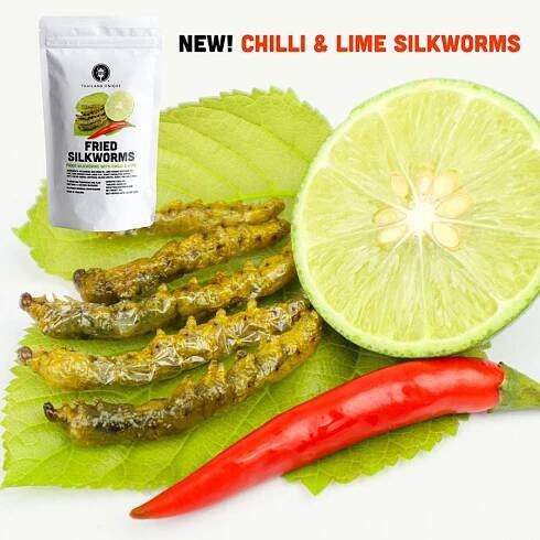 Fried Silkworms - Chilli & Lime Flavour